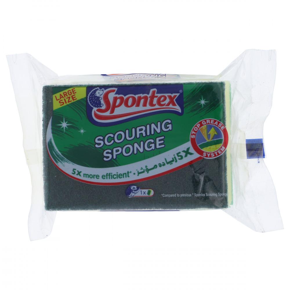Spontex Sponge