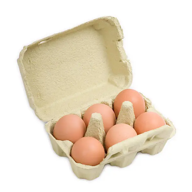 Egg