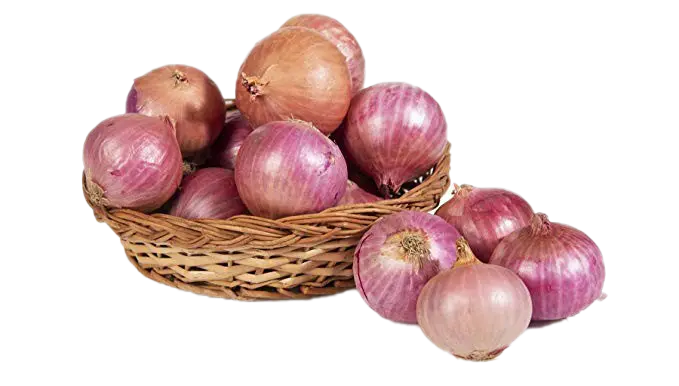 fresh Onions