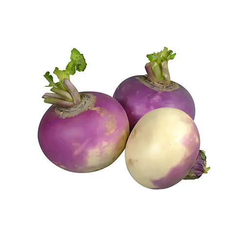 TURNIP(Shaljam)- 1 KG