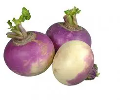 Turnip