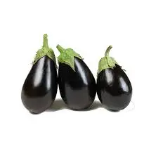 Eggplant
