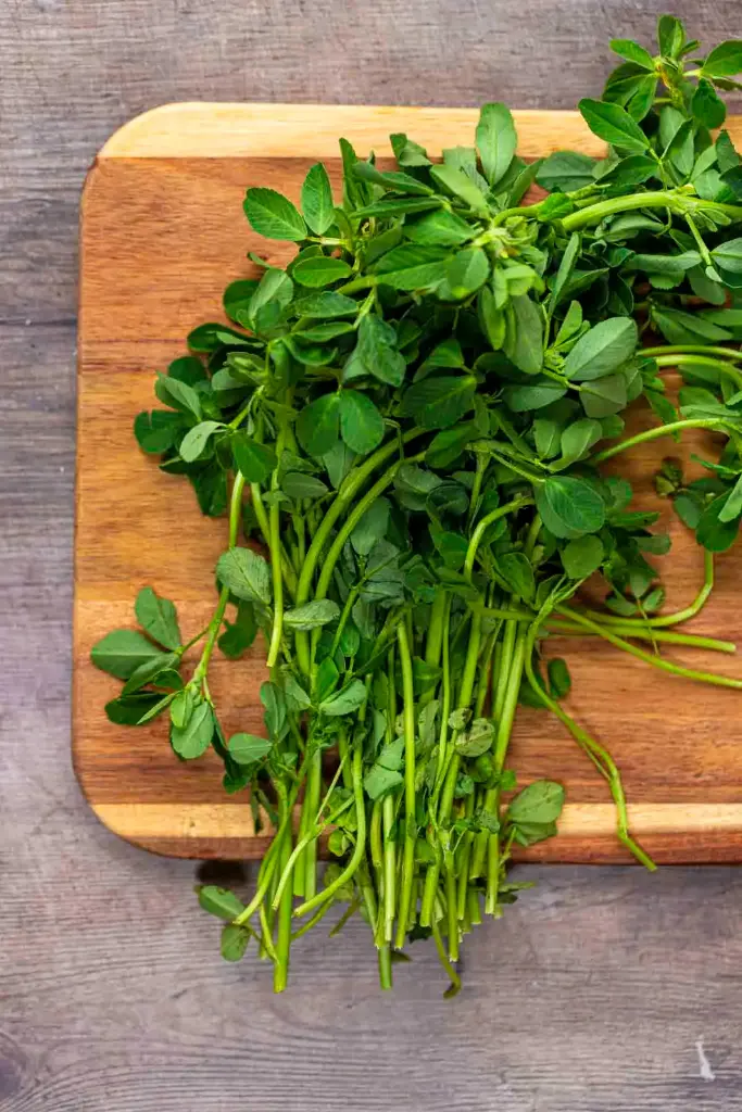 Fenugreek (Methi)-500 grams