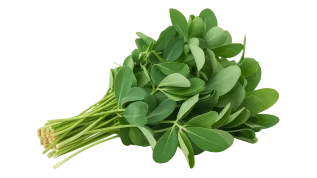 Fenugreek