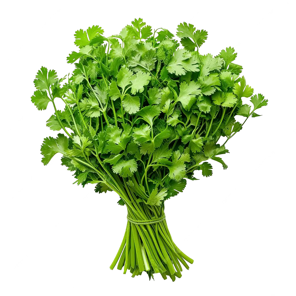 Coriander (DHANIYA) 250 GM