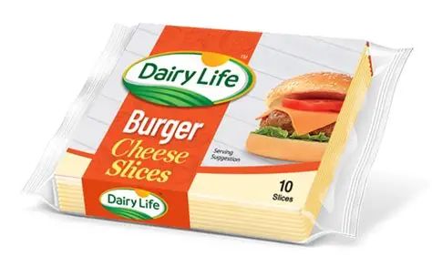 Dairy Life Burgur Cheese Slice 200G