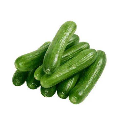 FARMI CUCUMBER(Kheera)(1 KG)