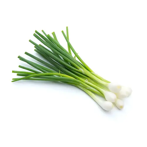 SPRING ONION (Sabz Piyaz) (1 KG)