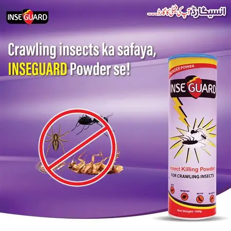 Inseguard Thndr Powdr Kiwi 100G