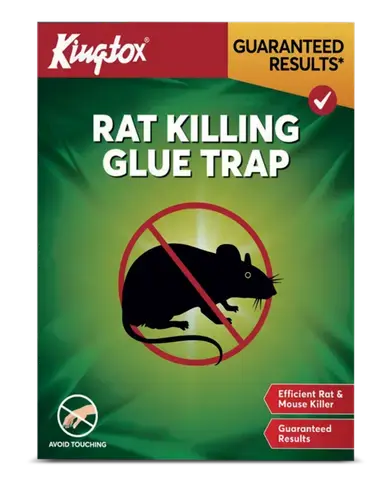 Kingtox Rat Killing Glue Trap
