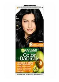 Garnier Natural Black 1.0