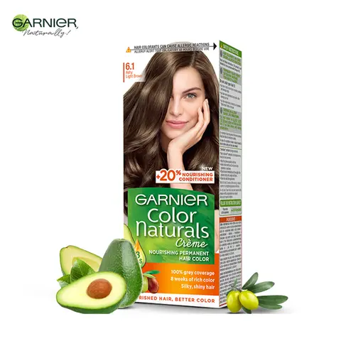 Garnier Golden Light Brown 6.1