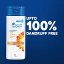 Head & Shoulders Anti-Hairfall 75Ml