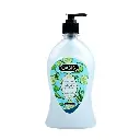 Oasis Hand Wash Wash Alovera Cmbr 500Ml