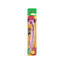 Shield Hippo Brush Toy