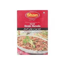 Brain Masala