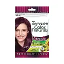 Garnier Darkest Brown