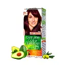Garnier Dark Red 4.6
