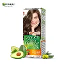 Garnier Golden Light Brown 6.1